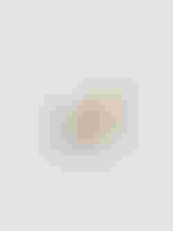 espresso brown ear piercing