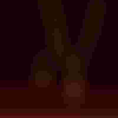 Shop the perfect gift