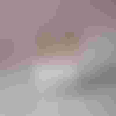 Mauve jewllery