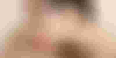 Jewellery gift guide