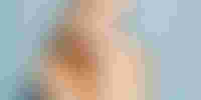 Gold bracelets, stacking