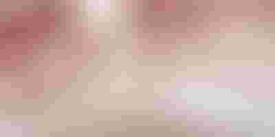 Jewellery gift guide