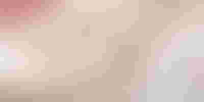 Jewellery gift guide