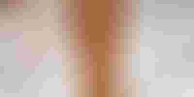 Festive season jewellery