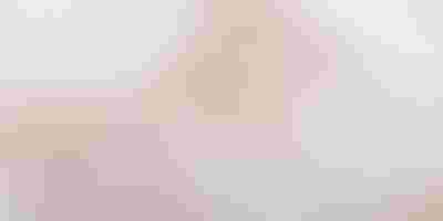 Jewellery gift guide