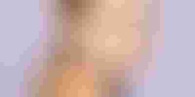 Sparkle spring collection