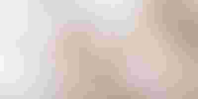 Jewellery gift guide