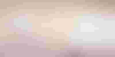 Jewellery gift guide