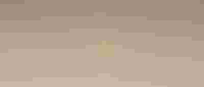gold necklaces