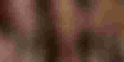 SAFIRA BLACK WEEK EARLY ACCESS