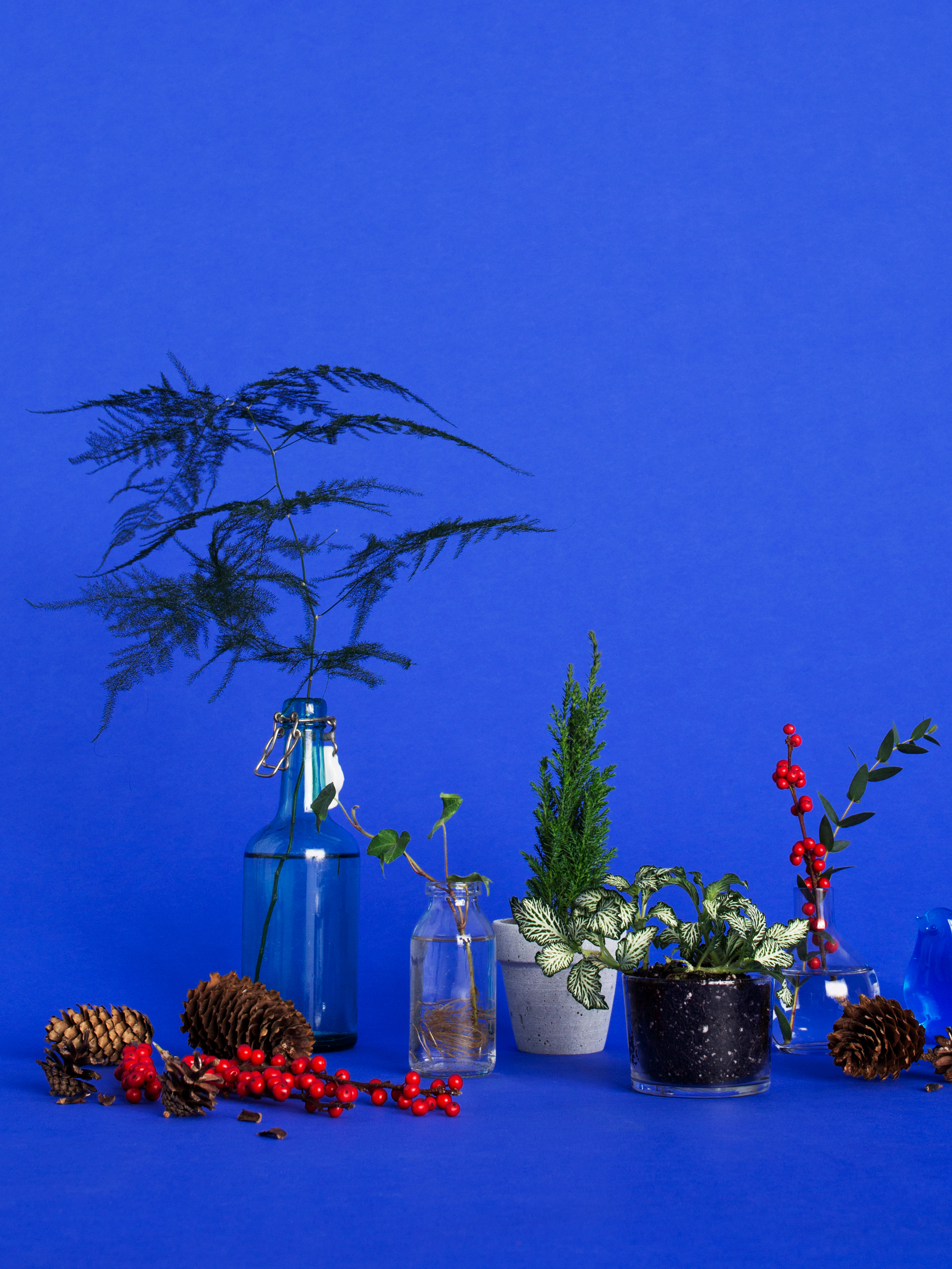 Myrorna Visuell identitet 