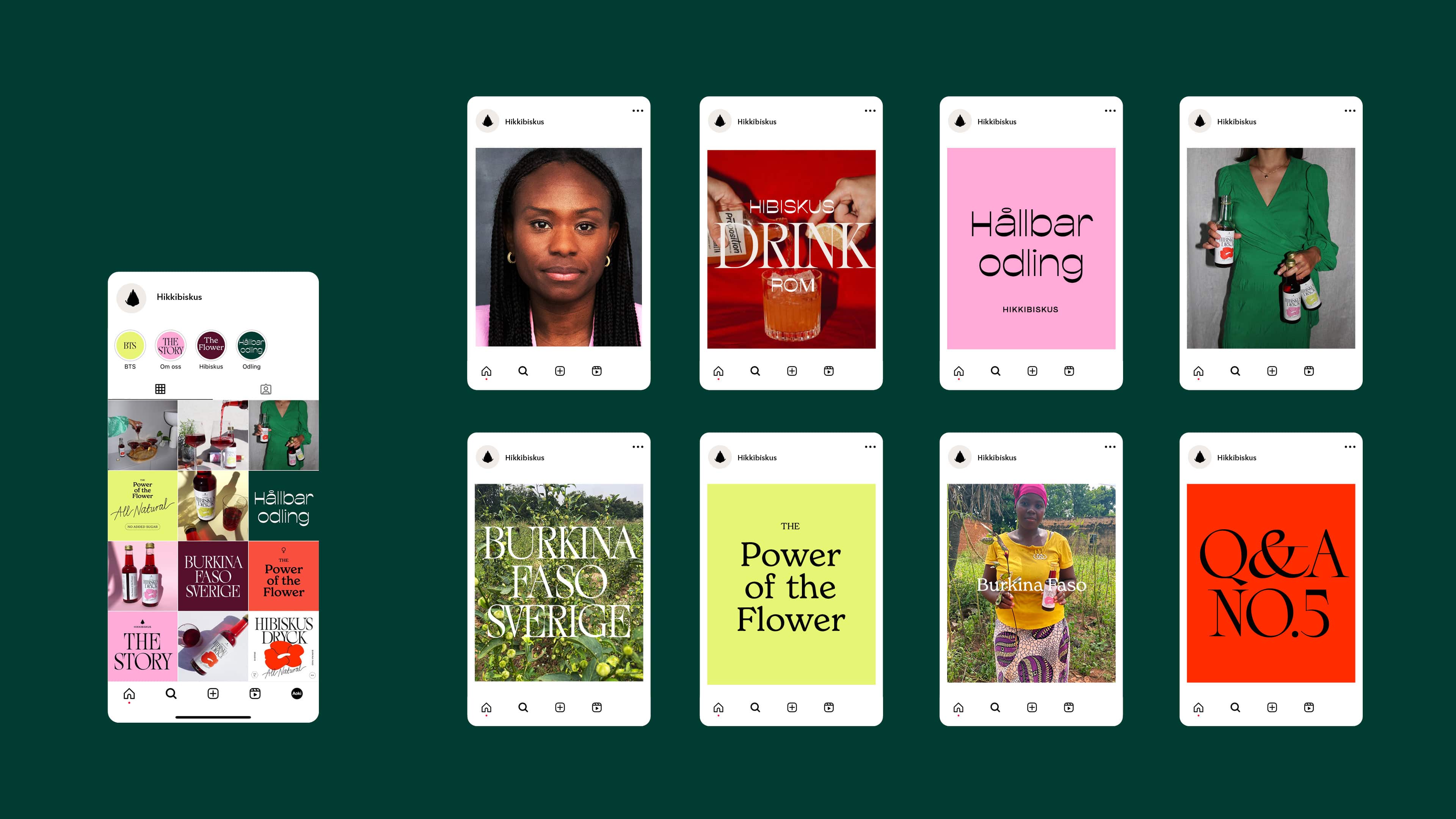 Hibiskusdryck Hikkibiskus Aoki