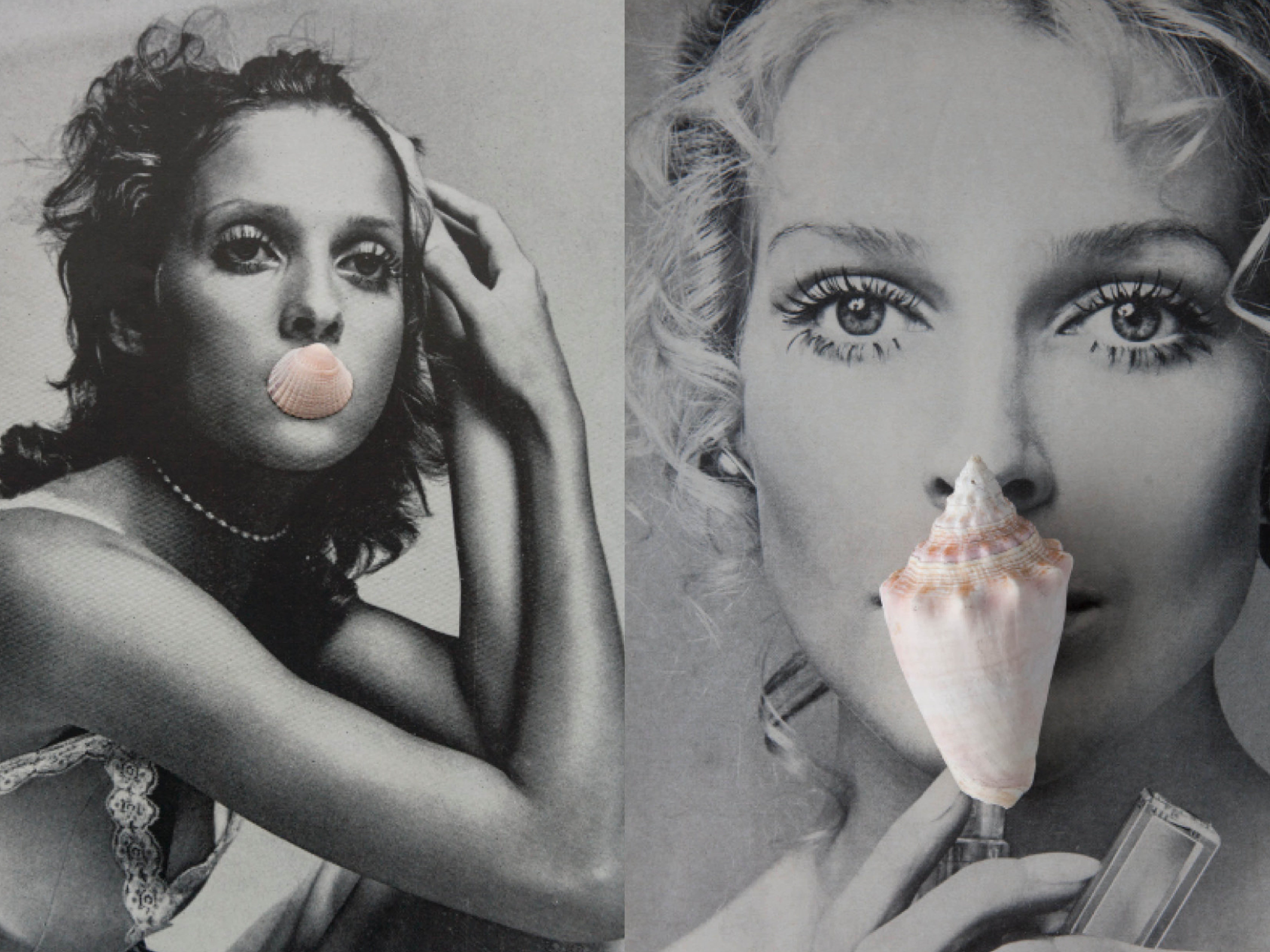 Lotta Antonsson grafisk design