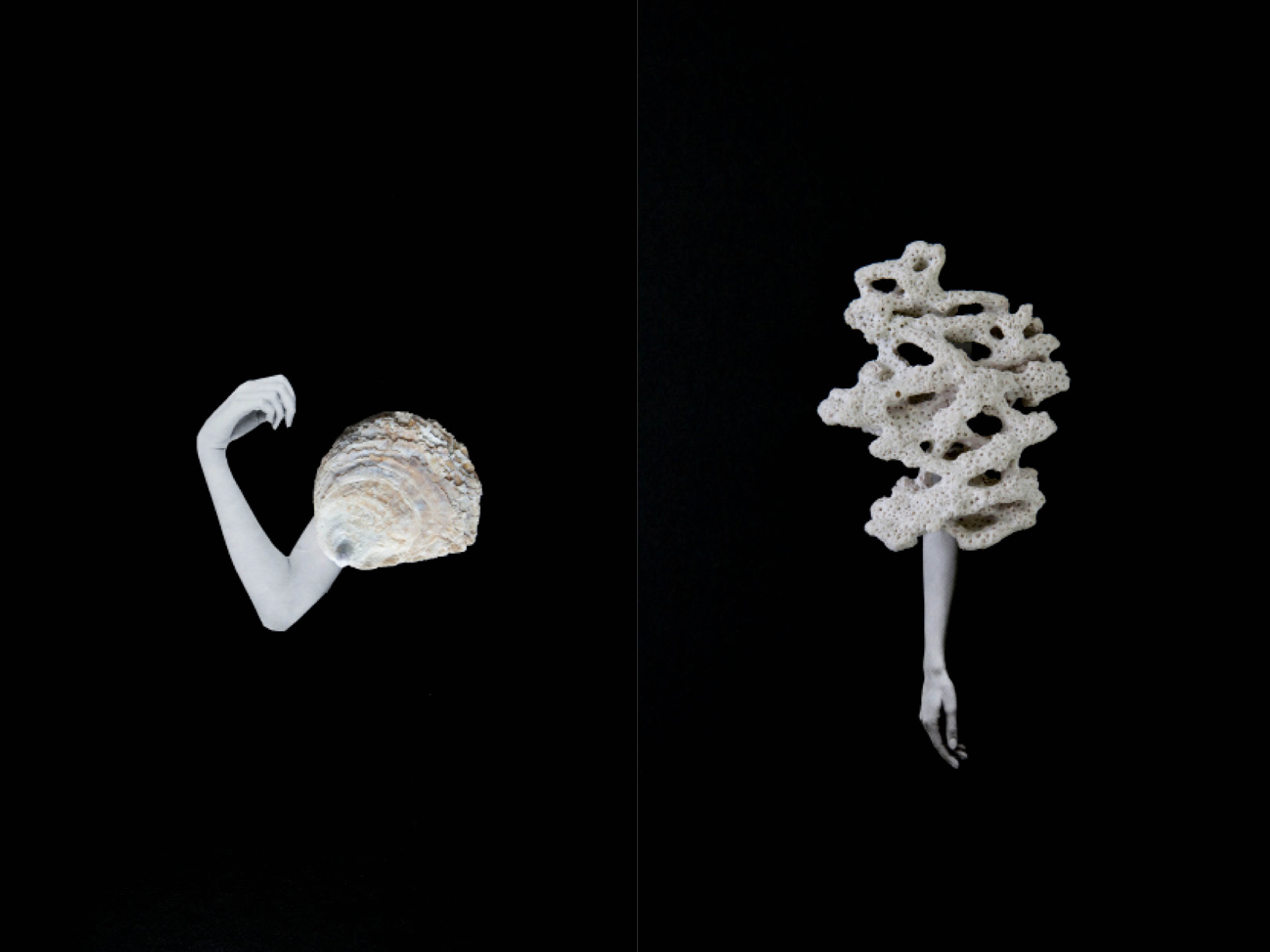 Lotta Antonsson grafisk design