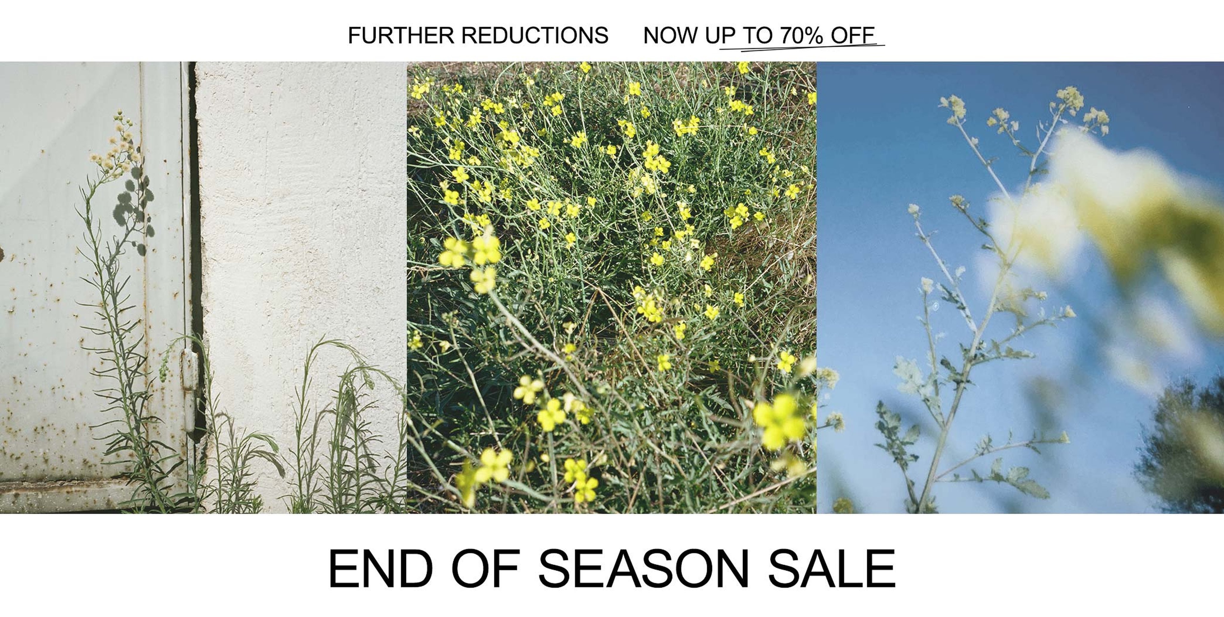 Collage of yellow wildflowers and a white wall, advertising an "End of Season Sale" with up to 70% off.