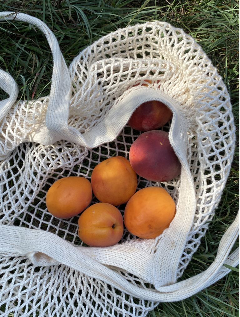 Apricots and peaches in a white mesh bag on grass, basking in sunlight.