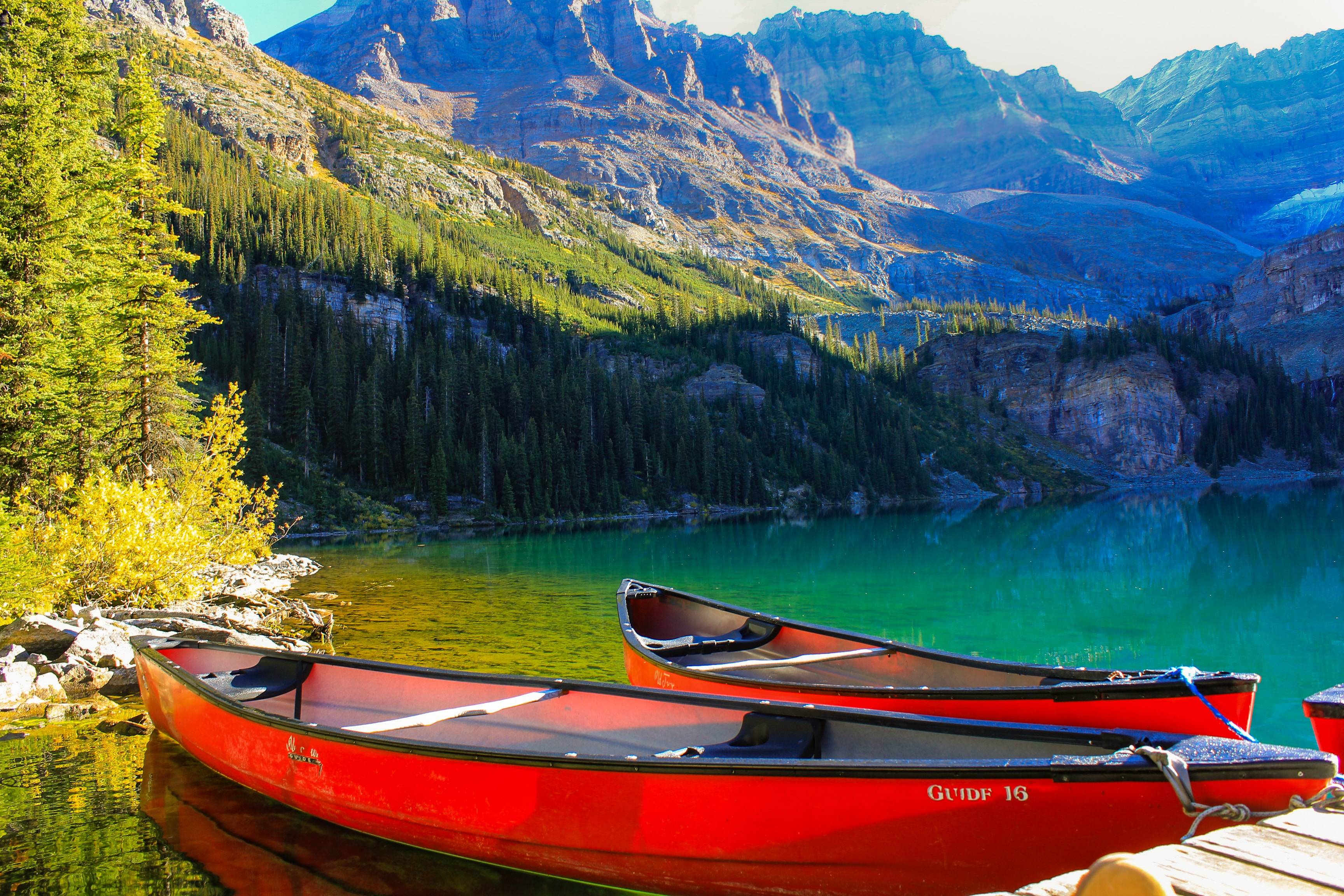lac O’Hara