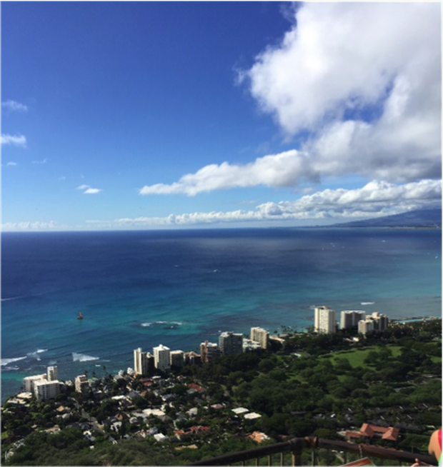 Au cœur du paradis tropical avec EF