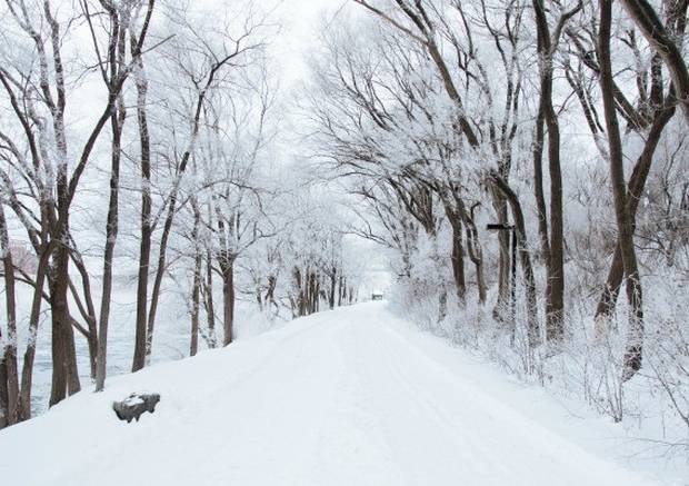 13 raisons pour lesquelles l’hiver est merveilleux