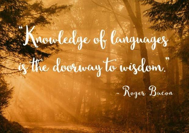 language learning quotes