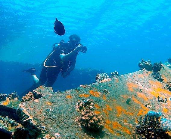 Top travel tips for your next diving adventure ‹ EF GO Blog | EF Global ...