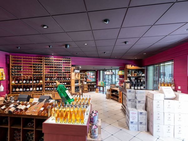 A wine shop interior with shelves of bottles, wooden racks, and boxes. Bright lighting with NUMINOS® GIMBLE luminaires highlights the vibrant pink walls and tiled floor.