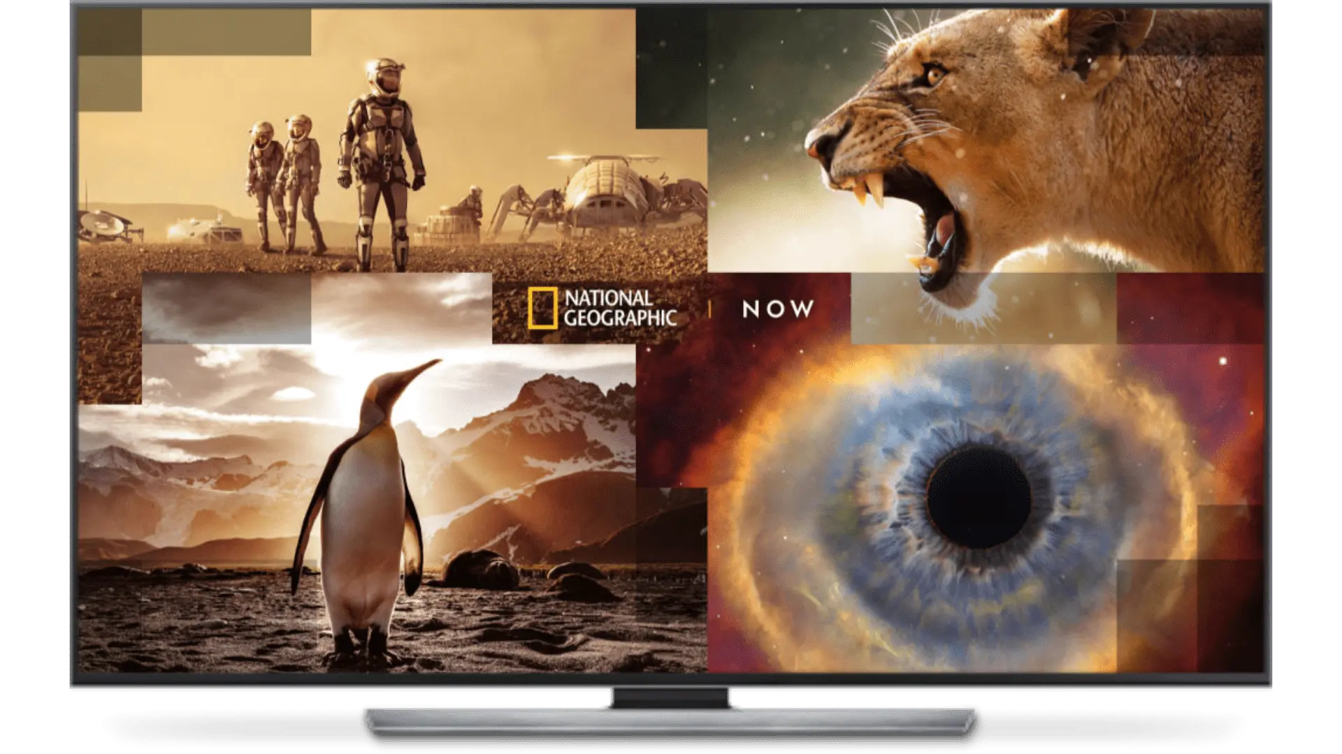 National Geographic Now