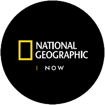 National Geographic NOW logo