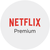 Netflix Premium logo