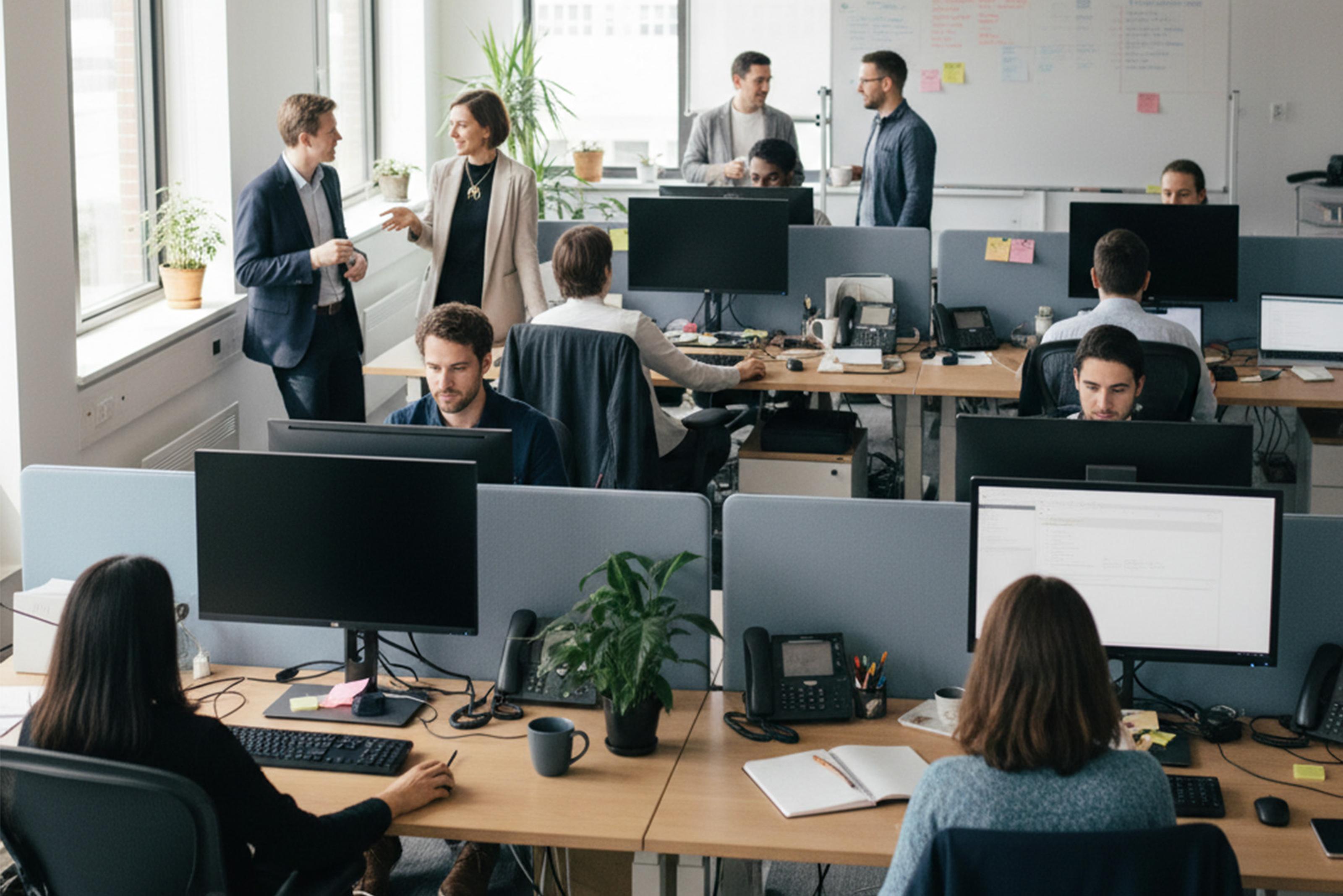 Employees in growing enterprise office