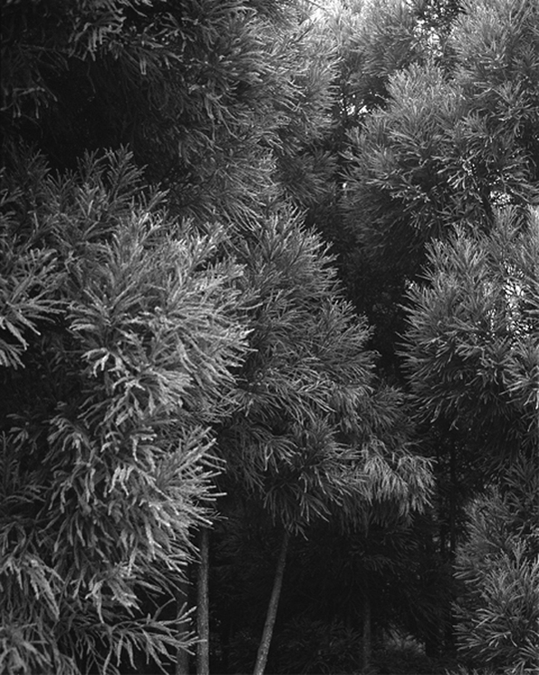 Awoiska van der Molen - Blanco | Geweest