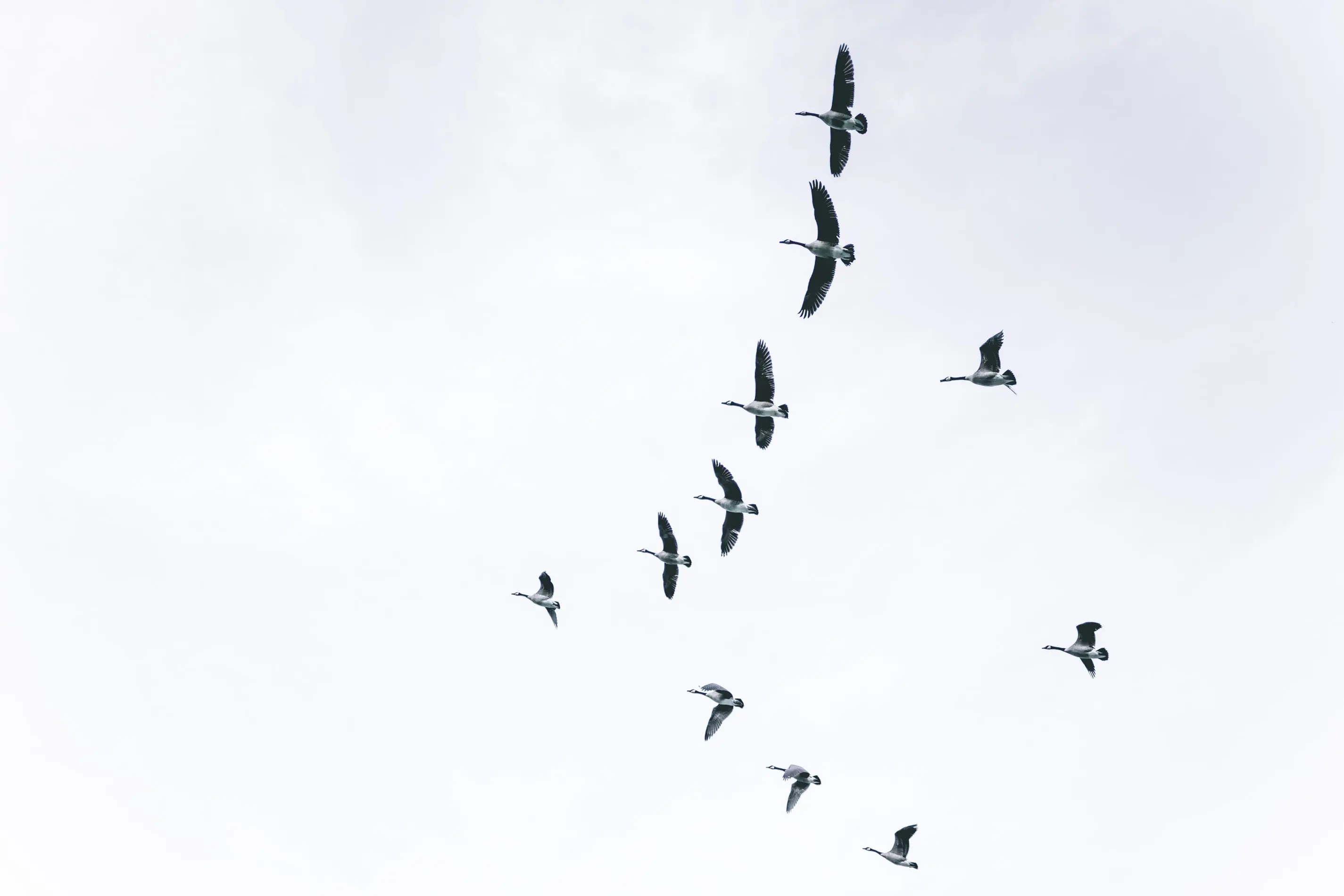 The Top 10 Peer to Peer Lending Platforms For 2020