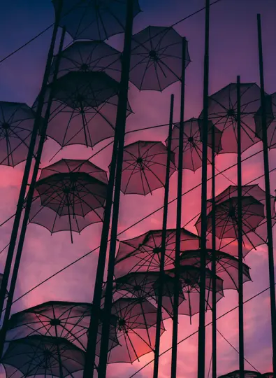 Video: The growth of on-demand insurance 2020