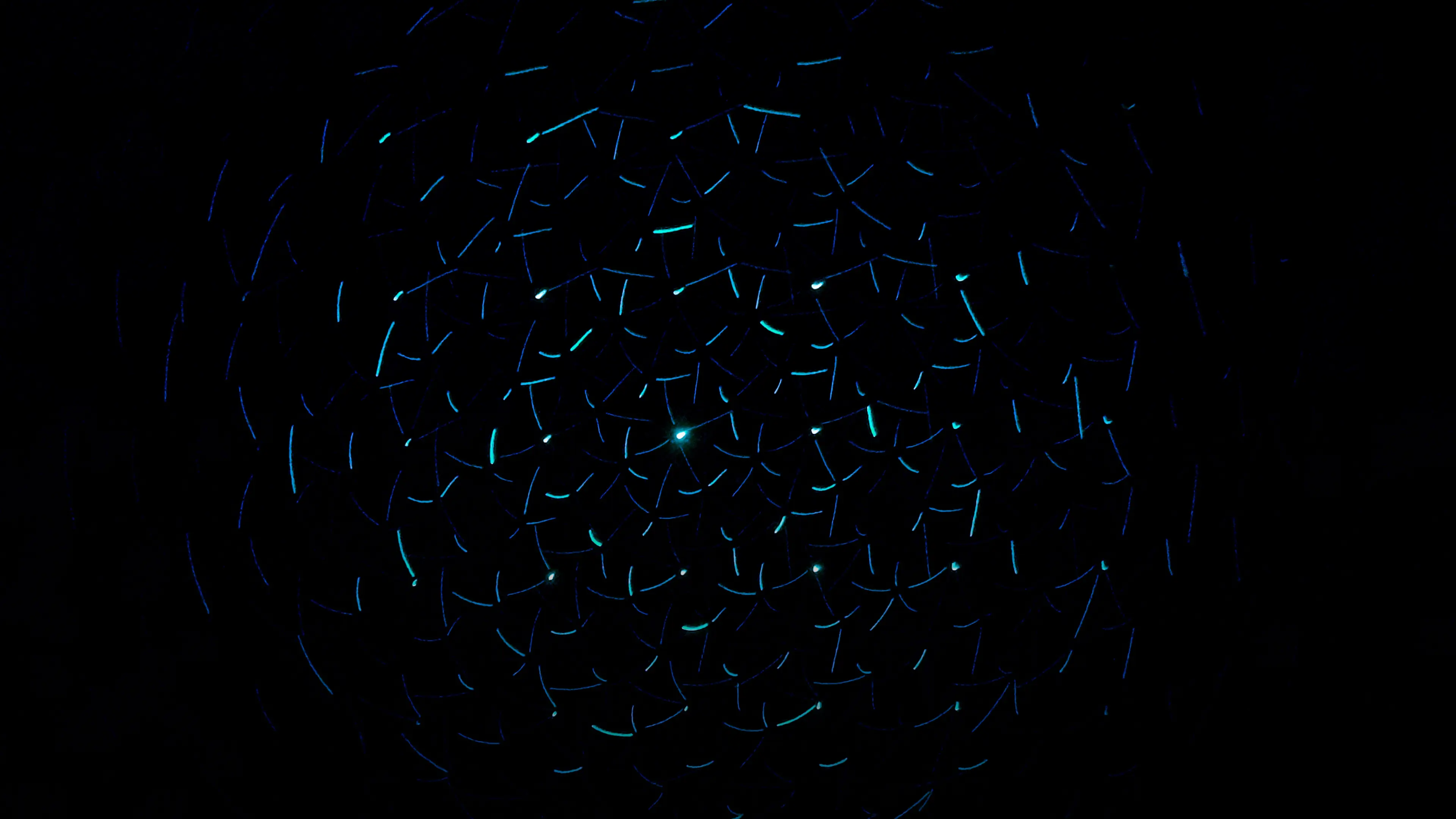  Building Digital Experiences Around Your Data