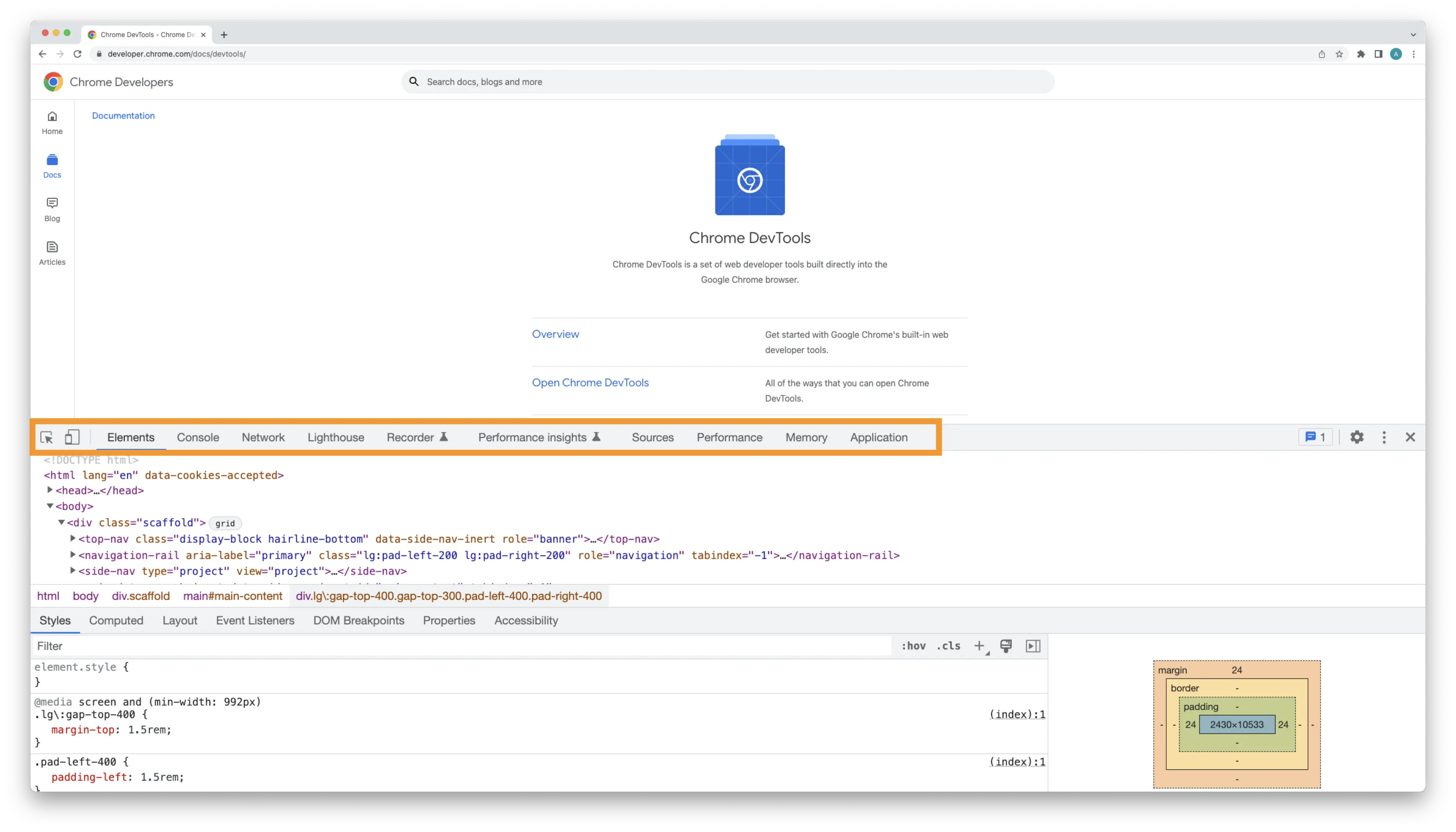 devtools panel