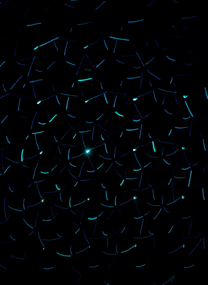 Video: Building Digital Experiences Around Your Data