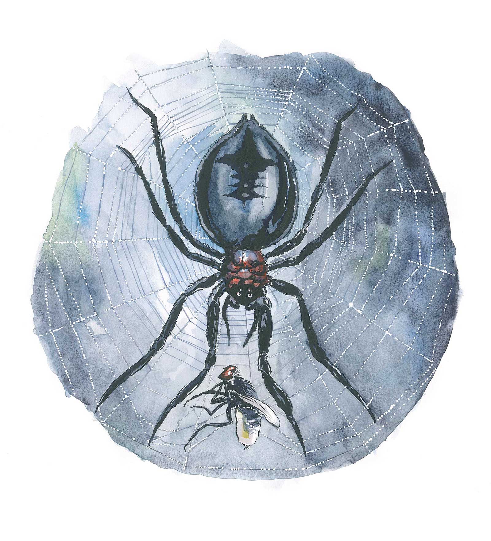 Trapped - WriteStuff
