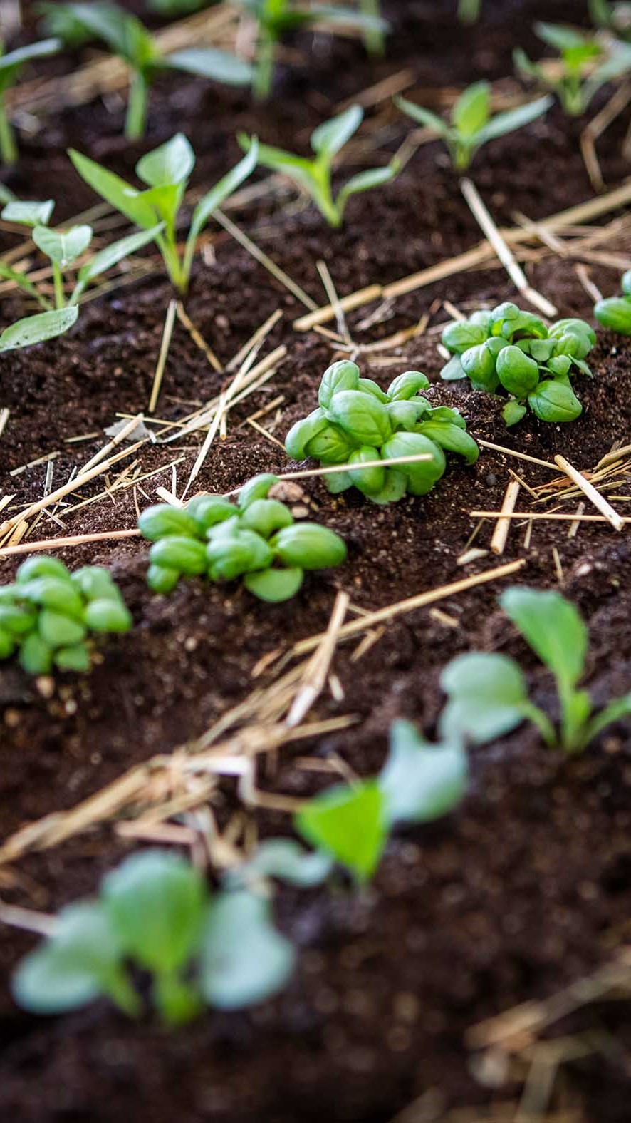 Davines Group at Cosmoprof Worldwide 2023 Davines Group