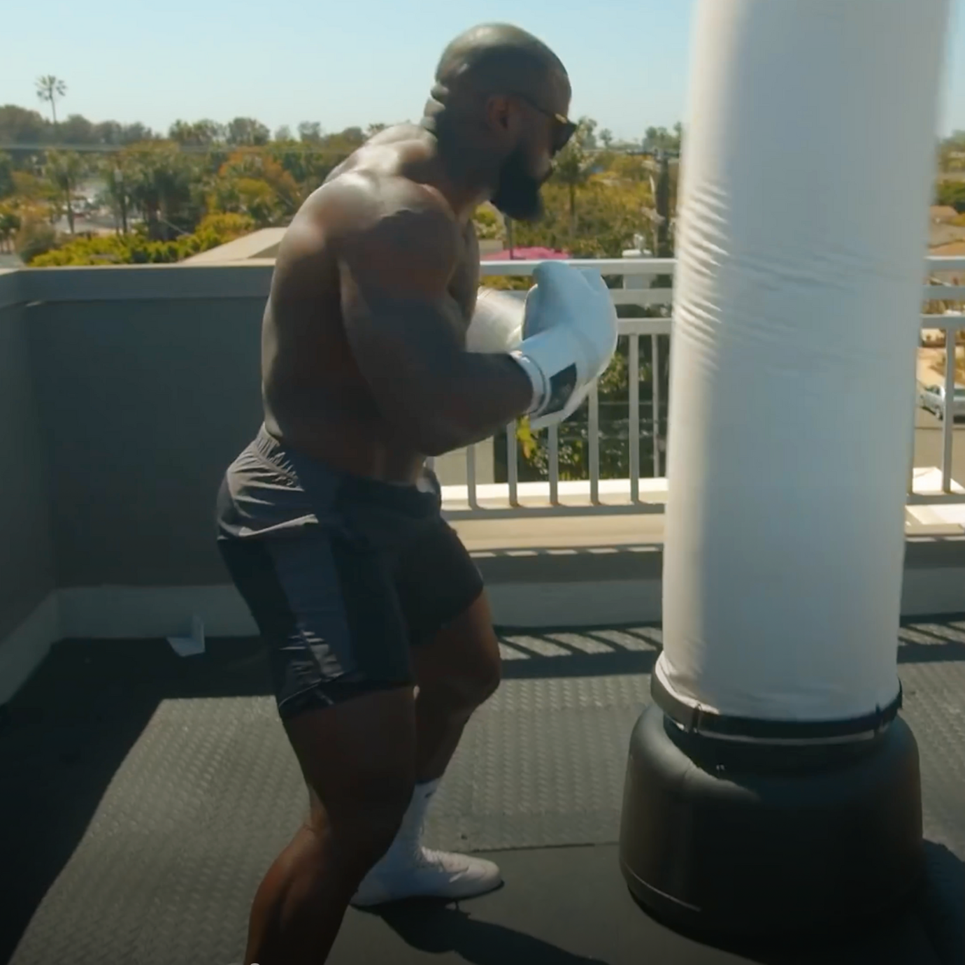 FightCamp - Mike Rashid