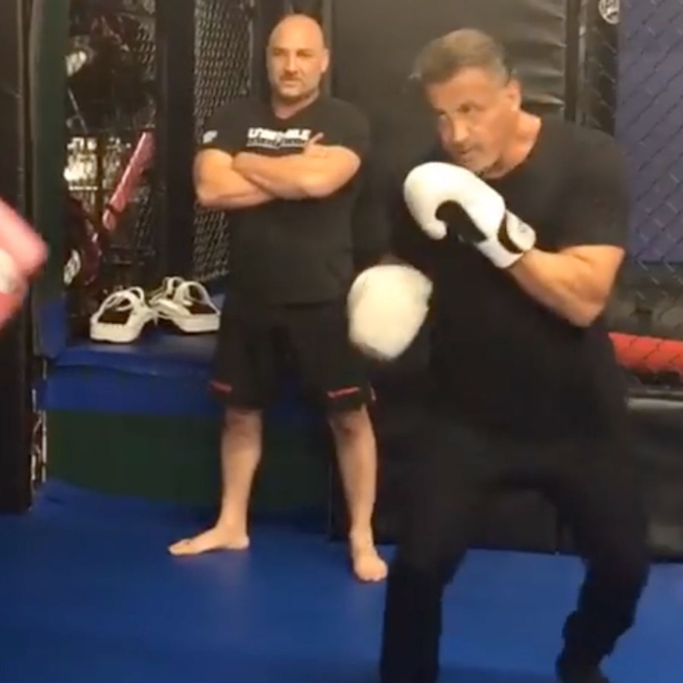 Actor Sylvester Stallone Boxing