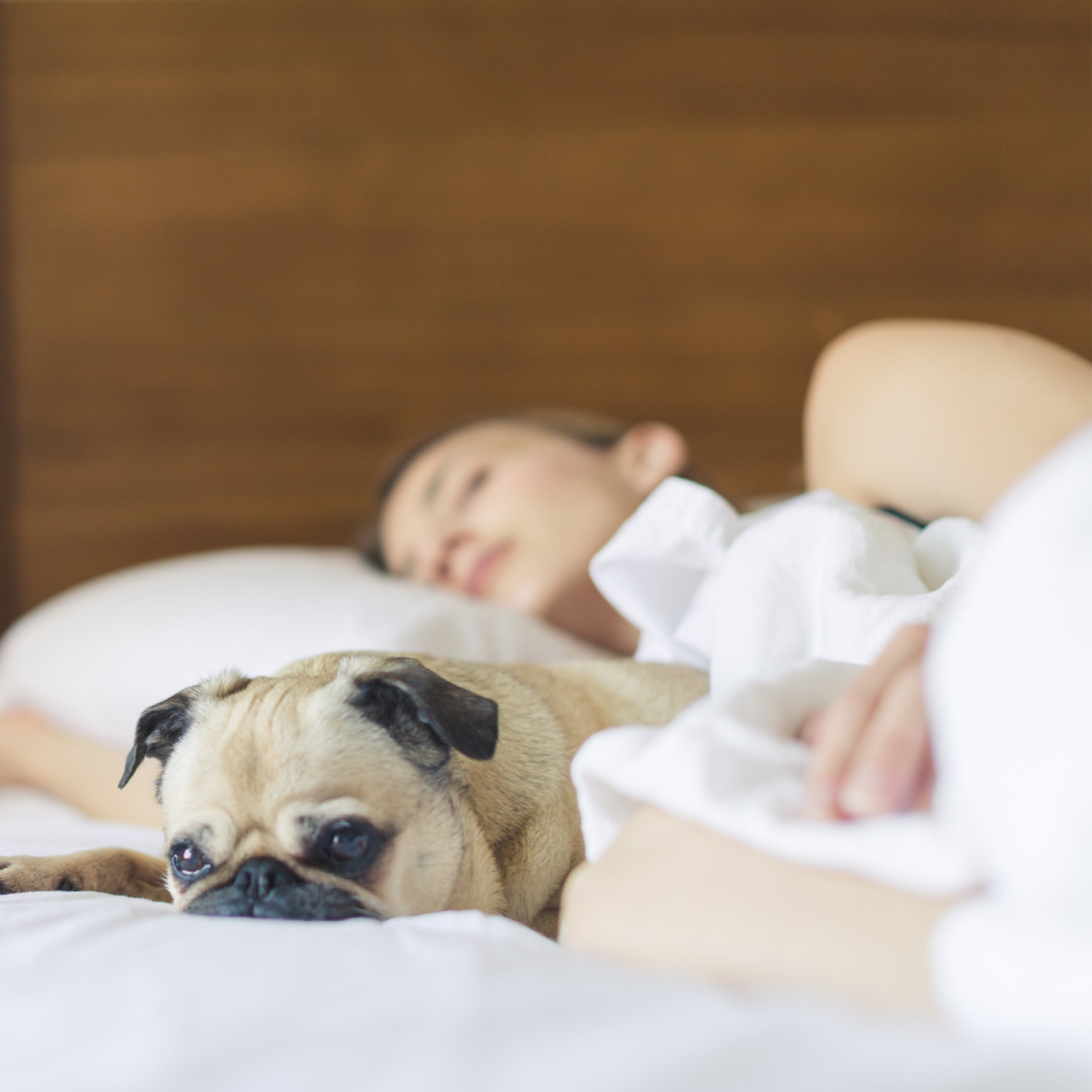 Boxing Workouts To Help You Sleep Better