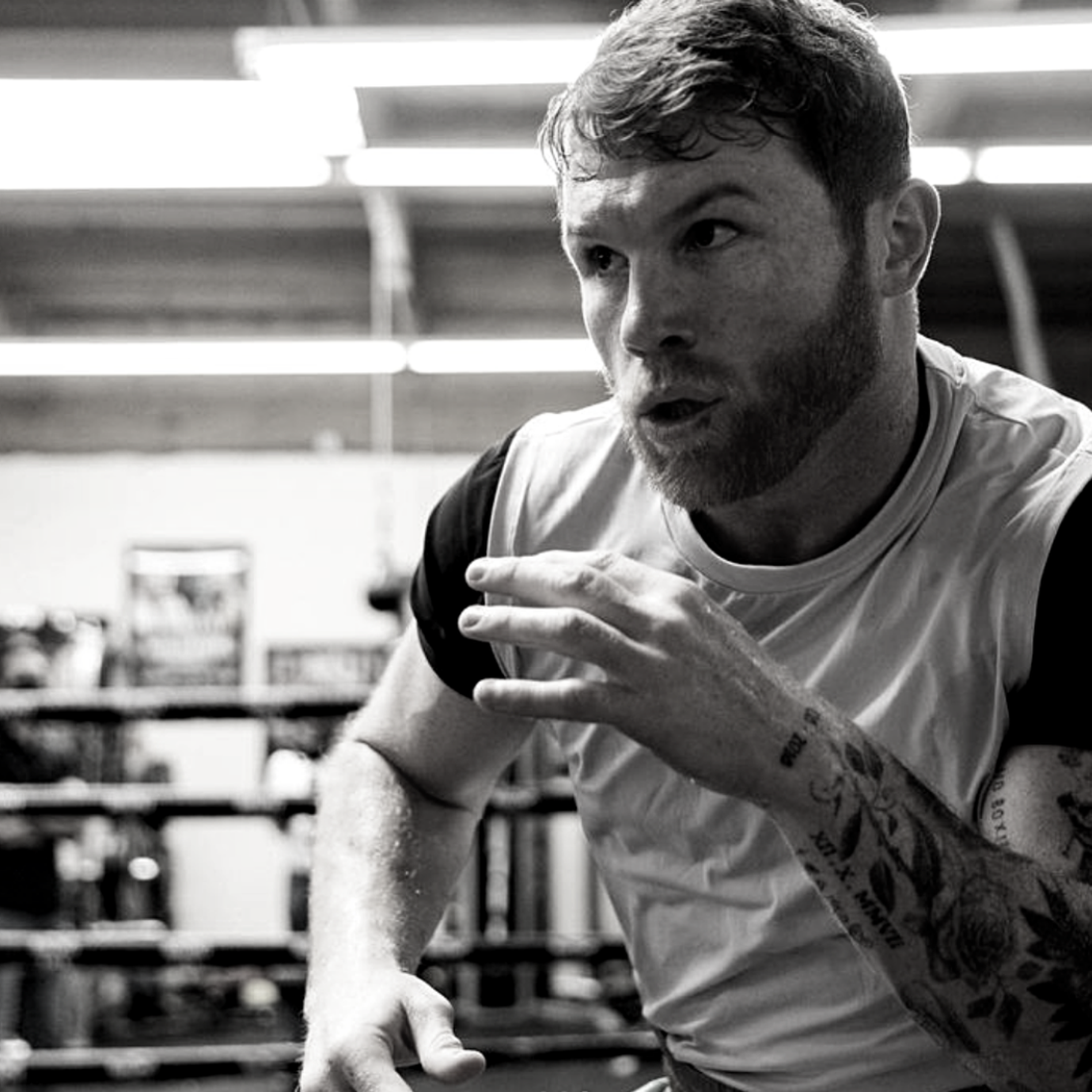 Professional Boxer Canelo Alvarez