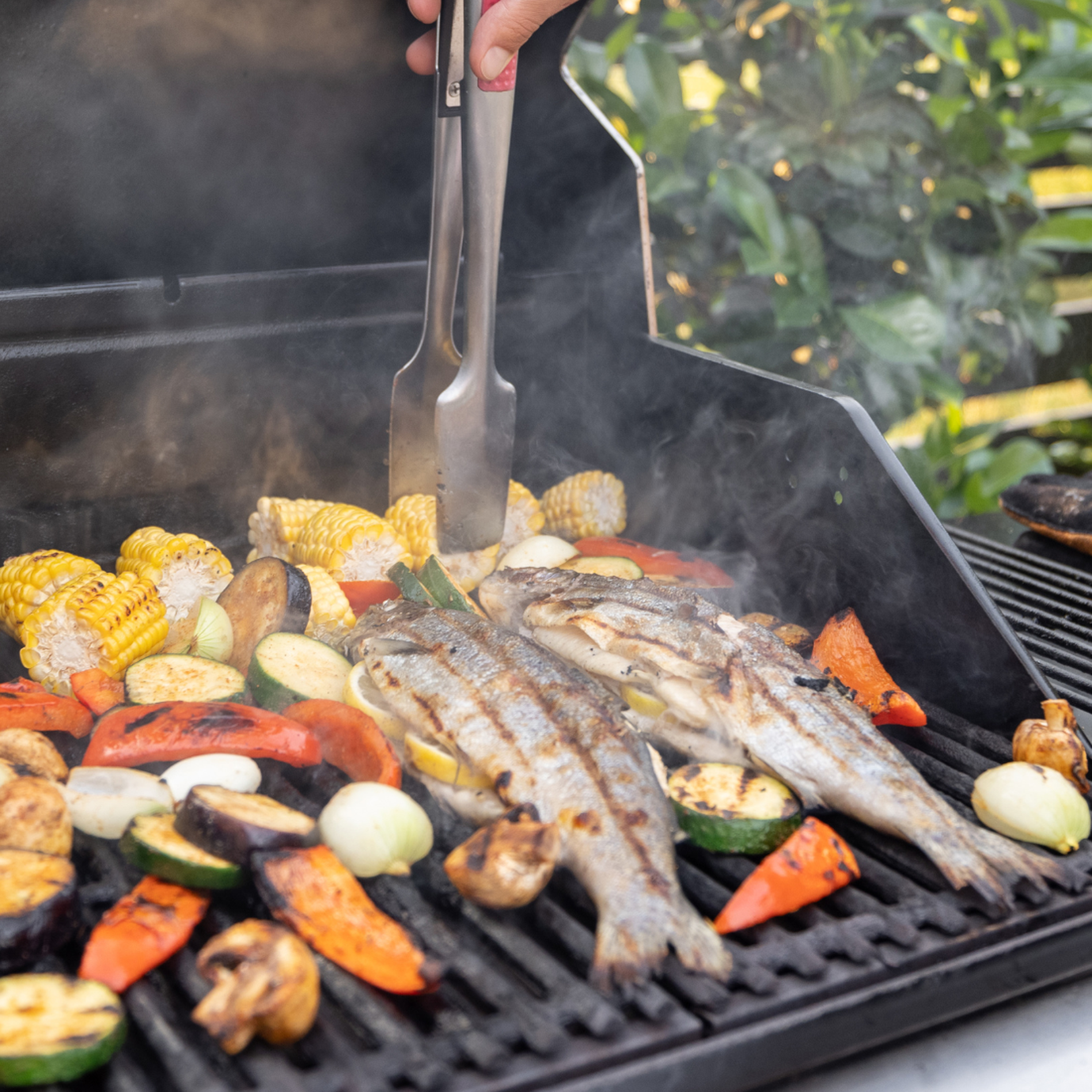 Grilled Fish