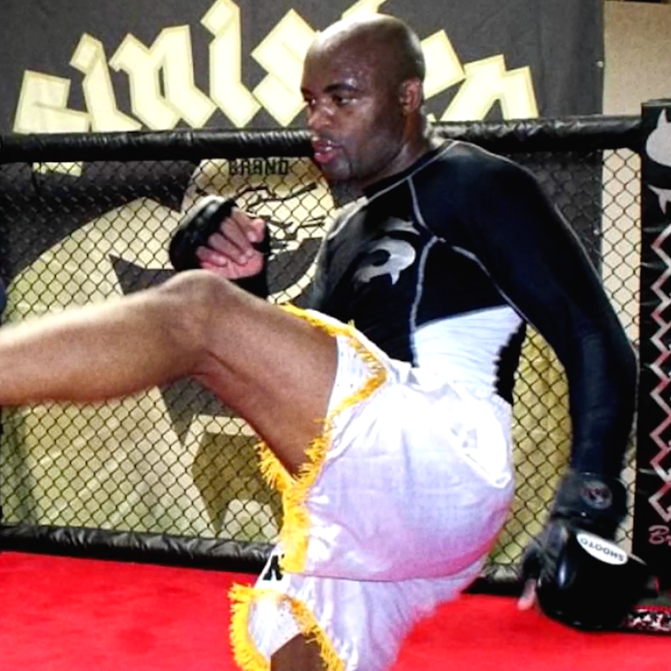 Anderson "The Spider" Silva