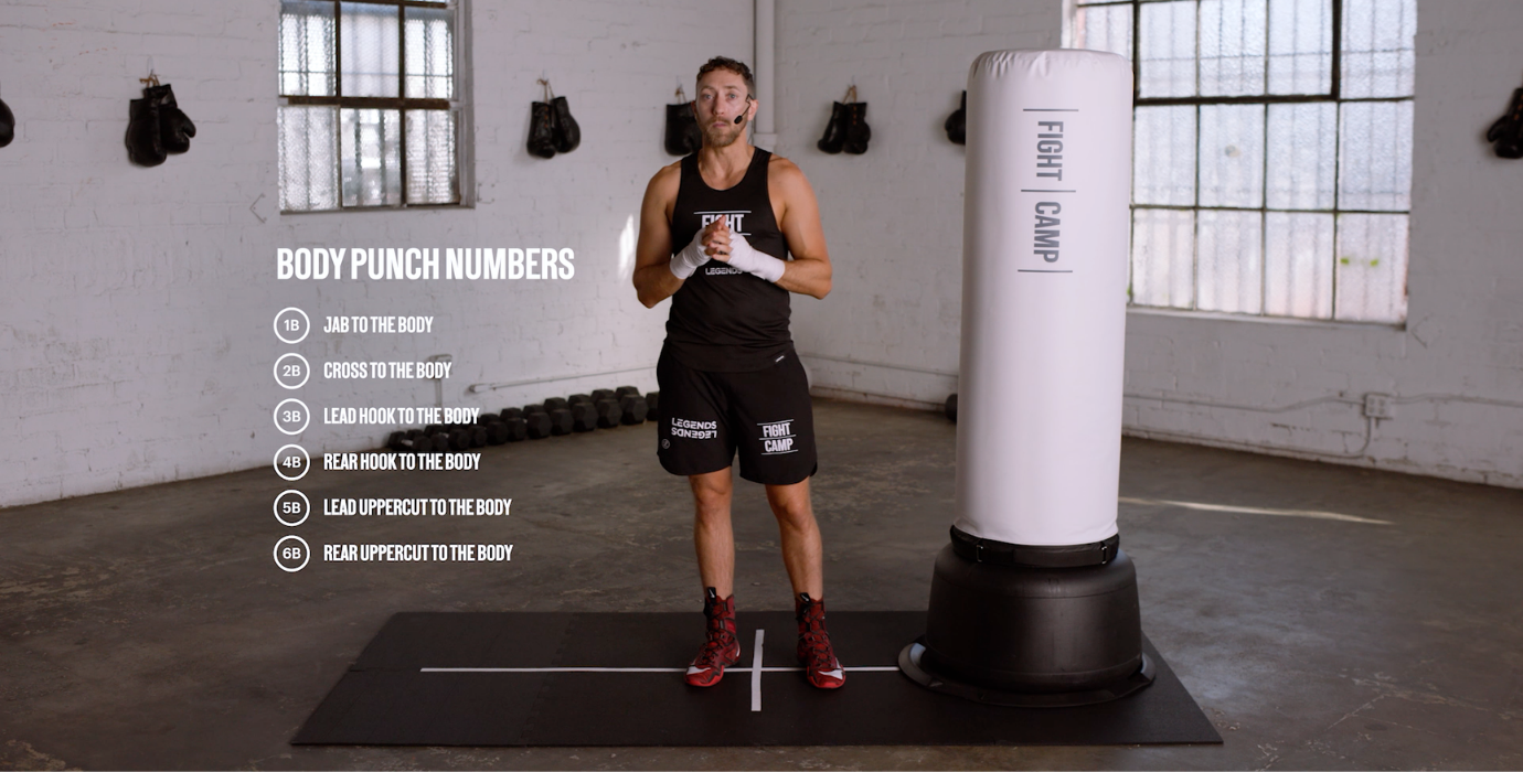 Body Punch Numbers