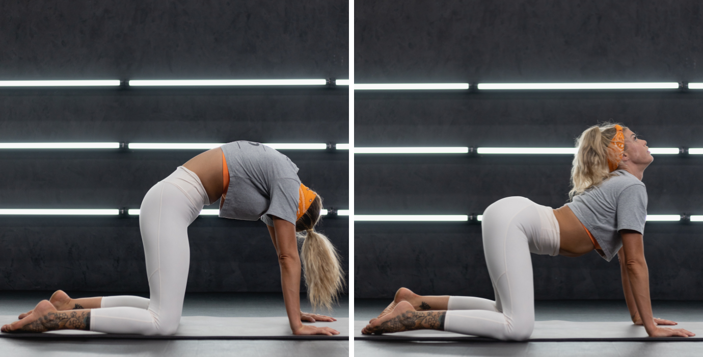Cat-Cow Pose