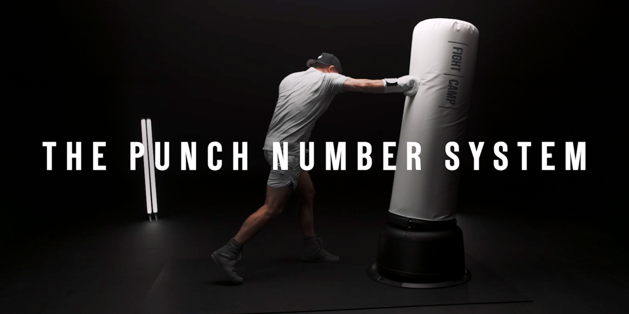 The Punch Number System 16 Explained