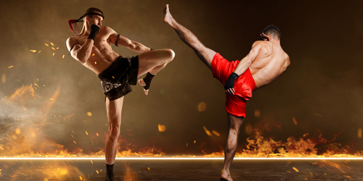 Art Of Kickboxing