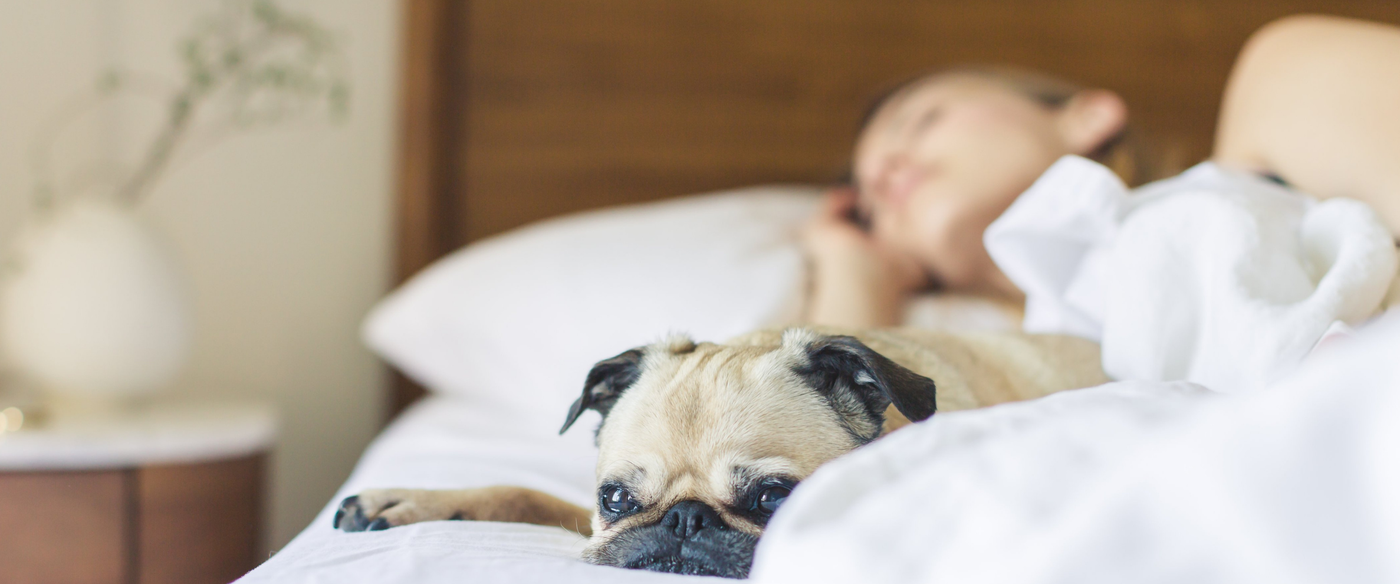 How Working Out Can Help You Sleep Better