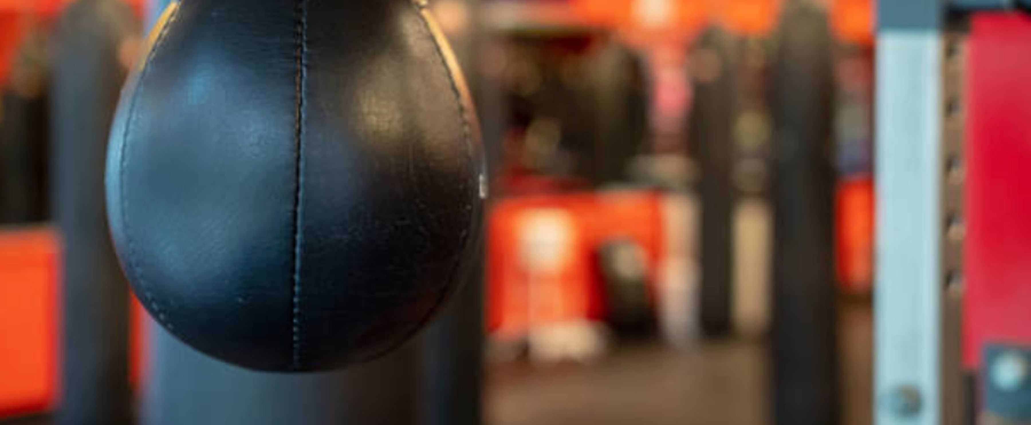 FightCamp Boxing Speed Bag